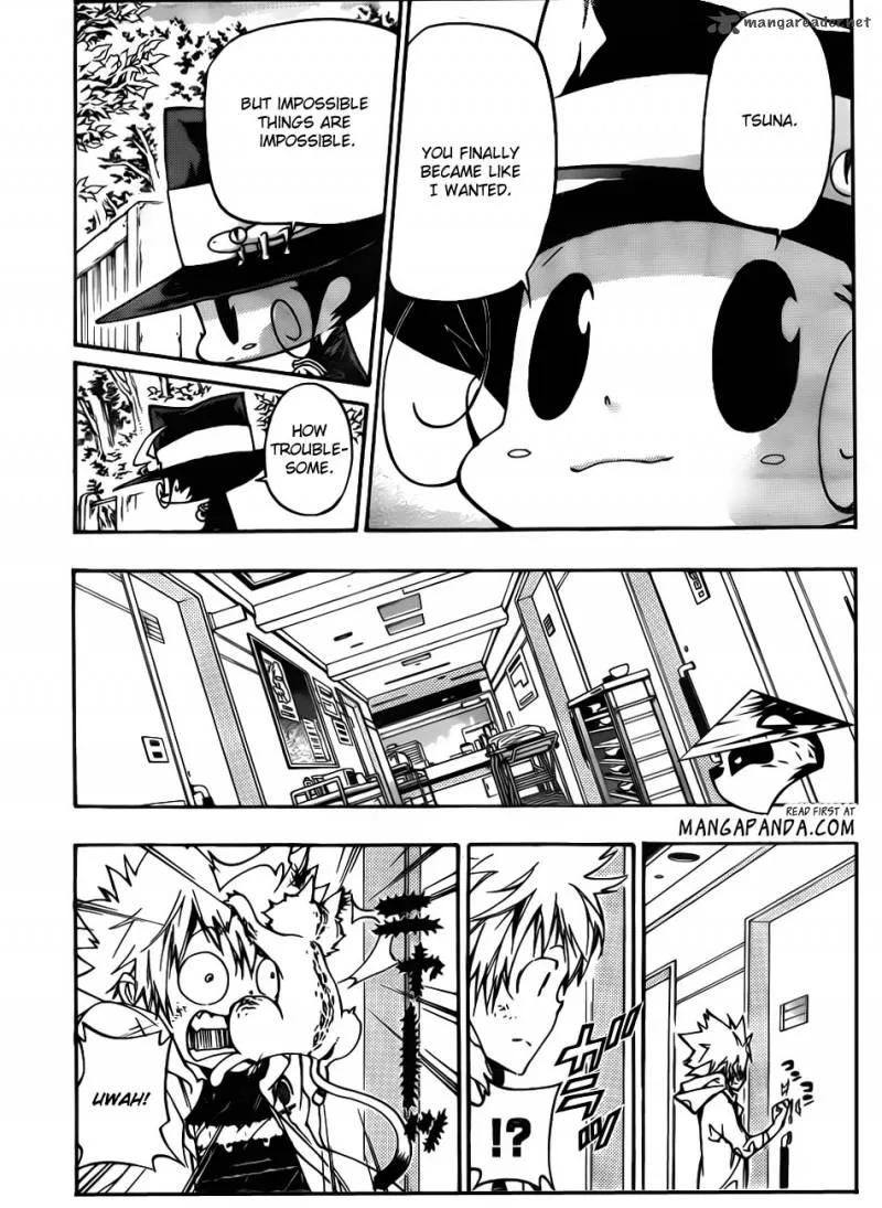 Katekyo Hitman Reborn! Chapter 391 page 4