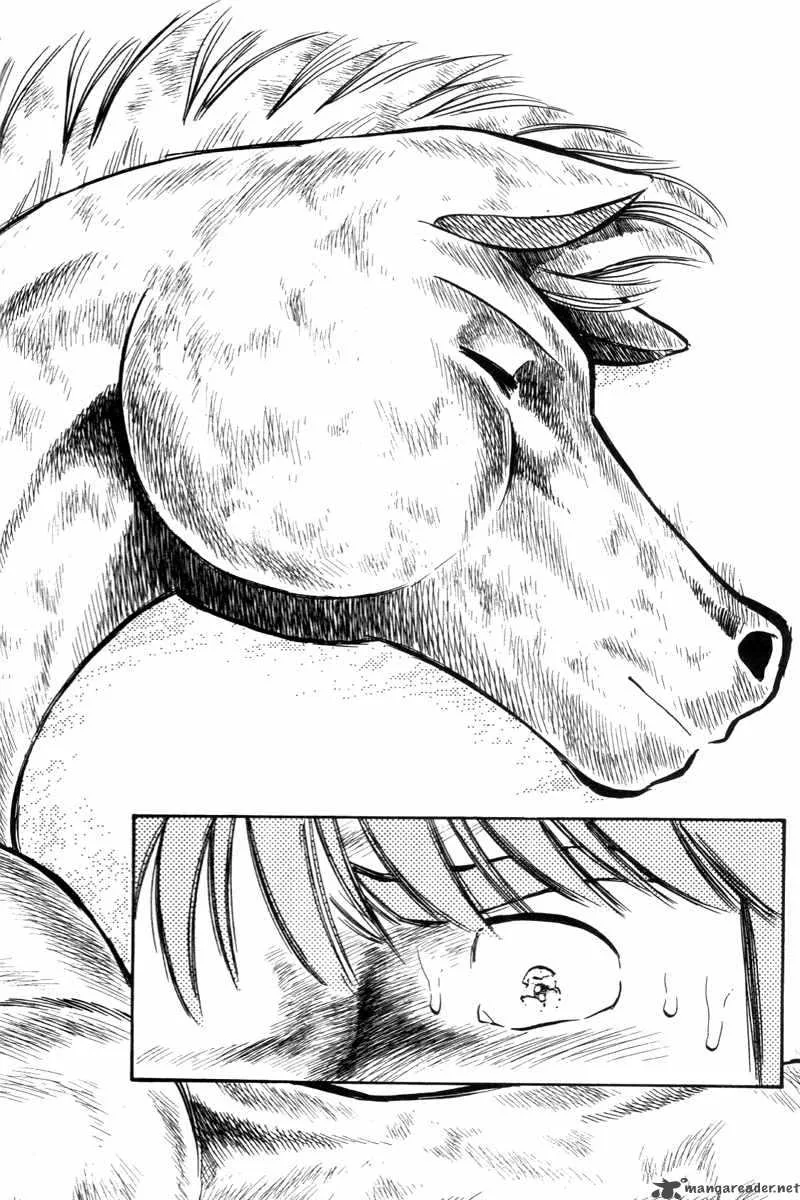 Kaze no Sylphid Chapter 198 page 15