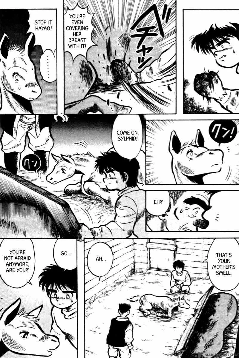 Kaze no Sylphid Chapter 2 page 13