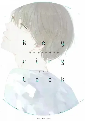 Keyring Lock cover