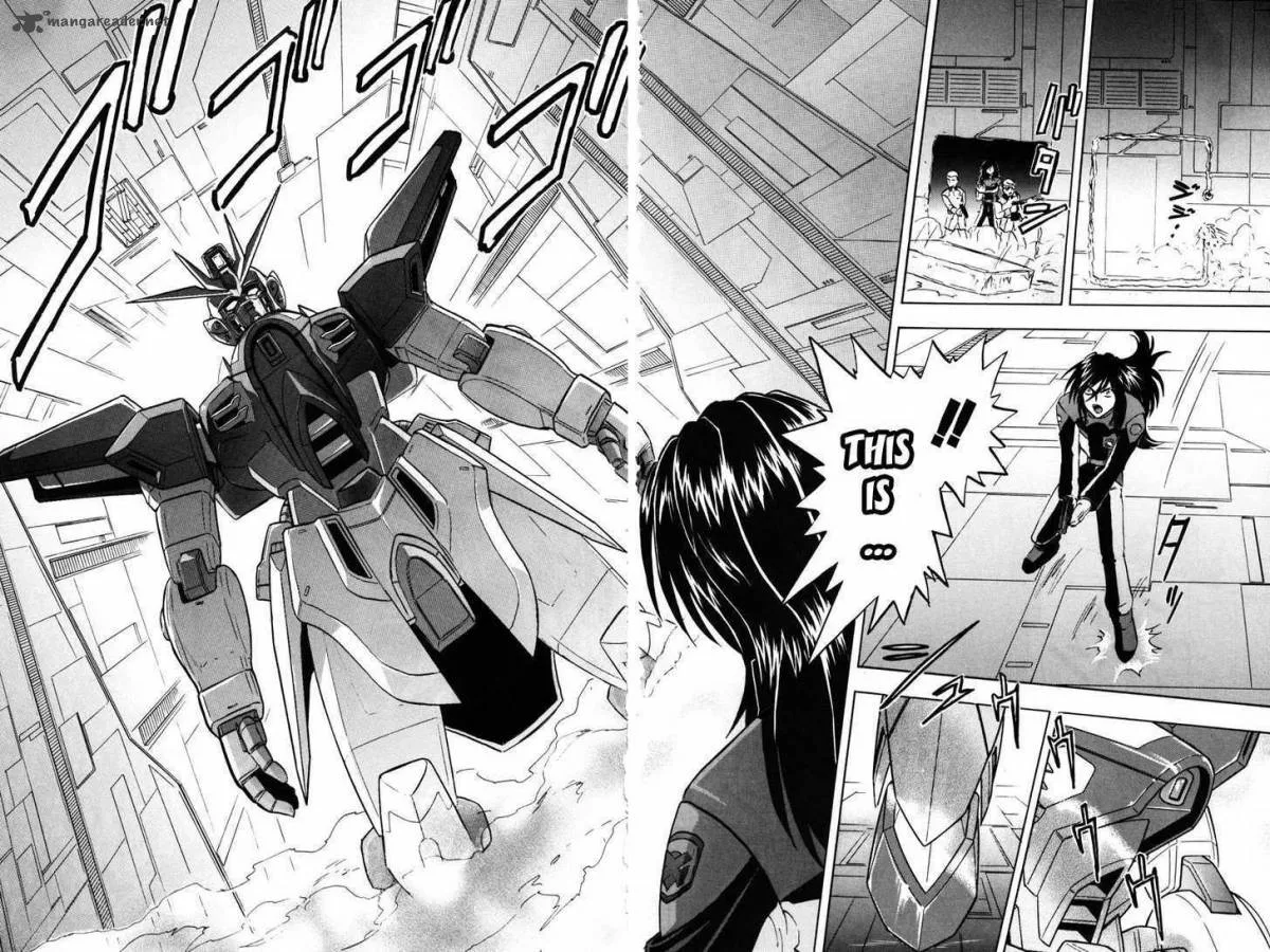 Kidou Senshi Gundam SEED X Astray Chapter 1 page 143