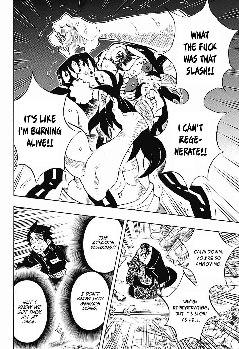 Kimetsu no Yaiba Chapter 113 page 13