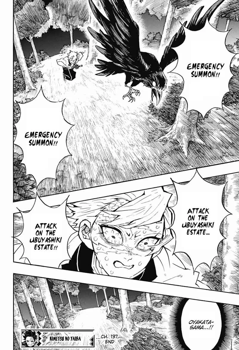Kimetsu no Yaiba Chapter 137 page 18