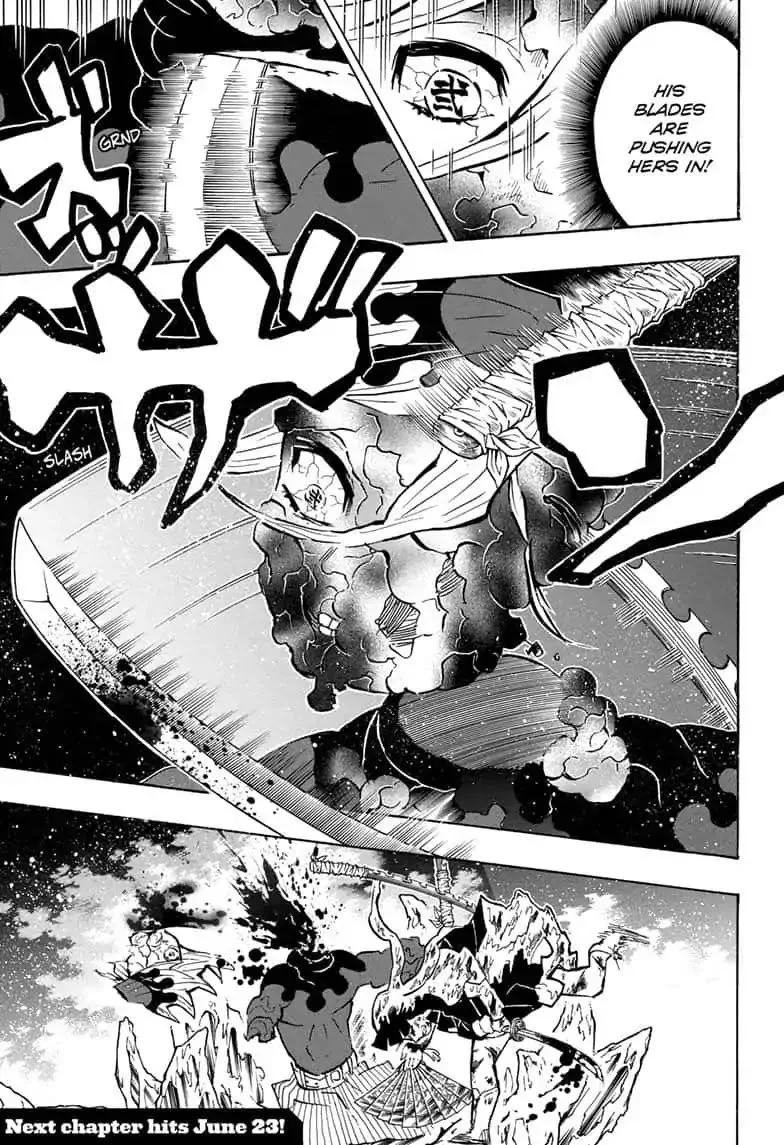 Kimetsu no Yaiba Chapter 162 page 23