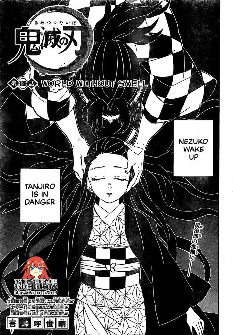Kimetsu no Yaiba Chapter 185 page 1