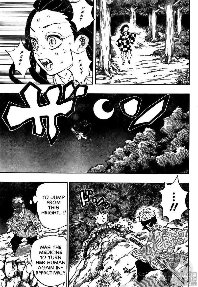 Kimetsu no Yaiba Chapter 185 page 7