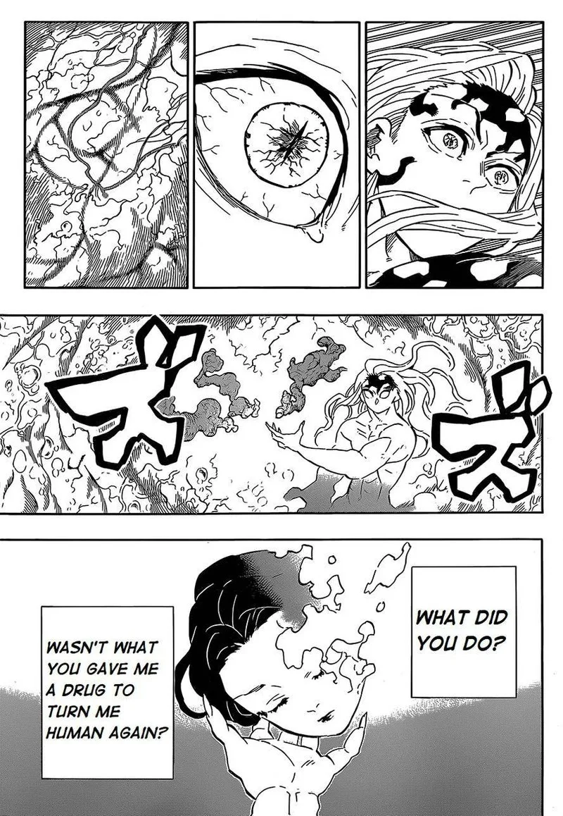 Kimetsu no Yaiba Chapter 193 page 12