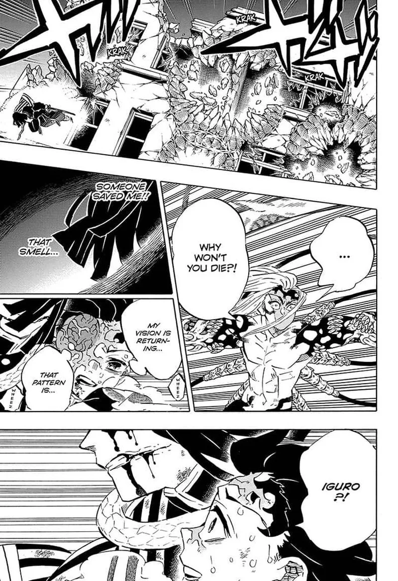 Kimetsu no Yaiba Chapter 194 page 9