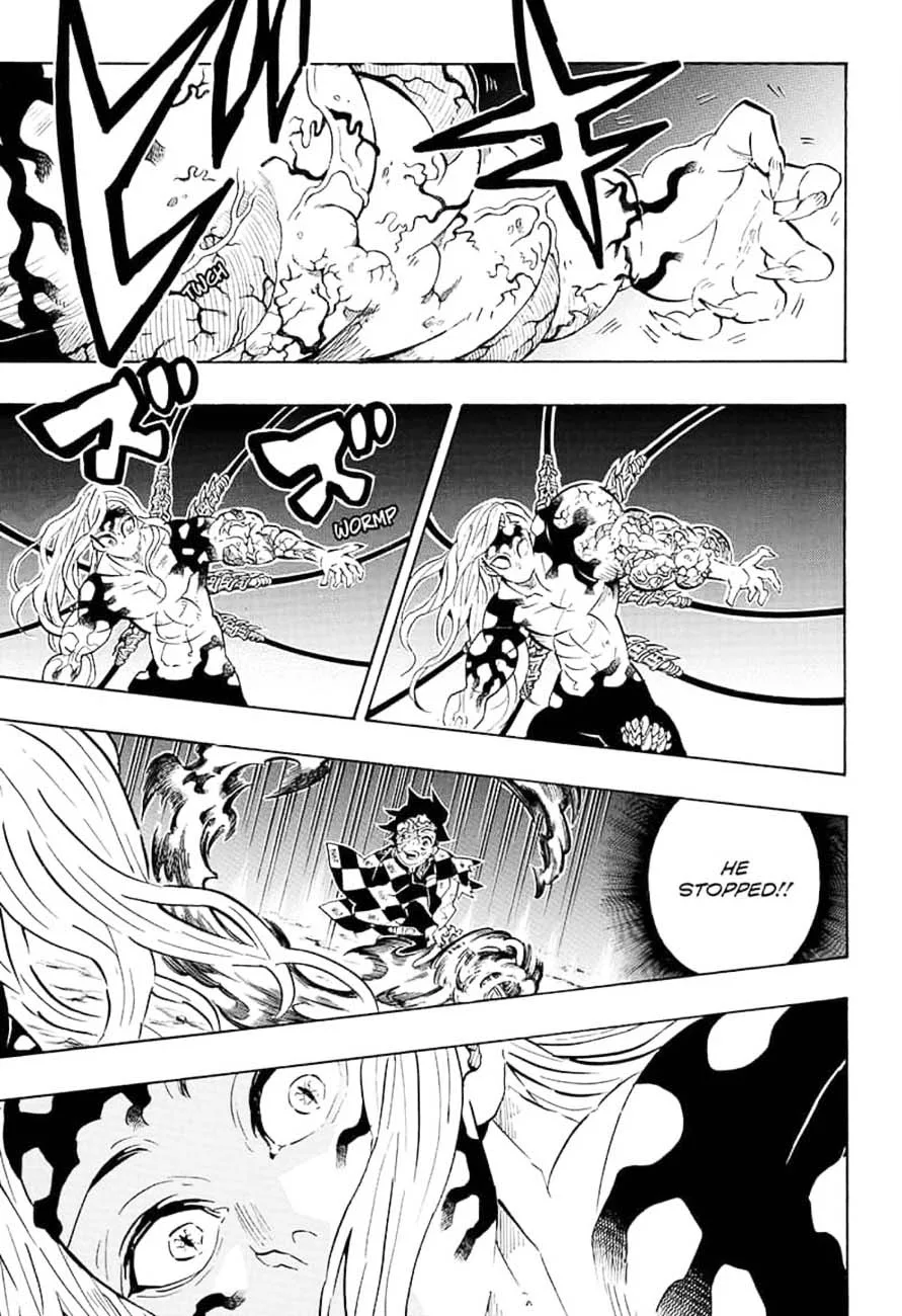 Kimetsu no Yaiba Chapter 196 page 17