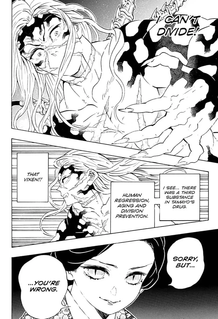 Kimetsu no Yaiba Chapter 196 page 18