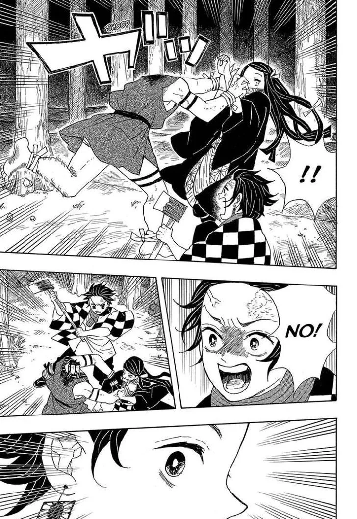 Kimetsu no Yaiba Chapter 2 page 17
