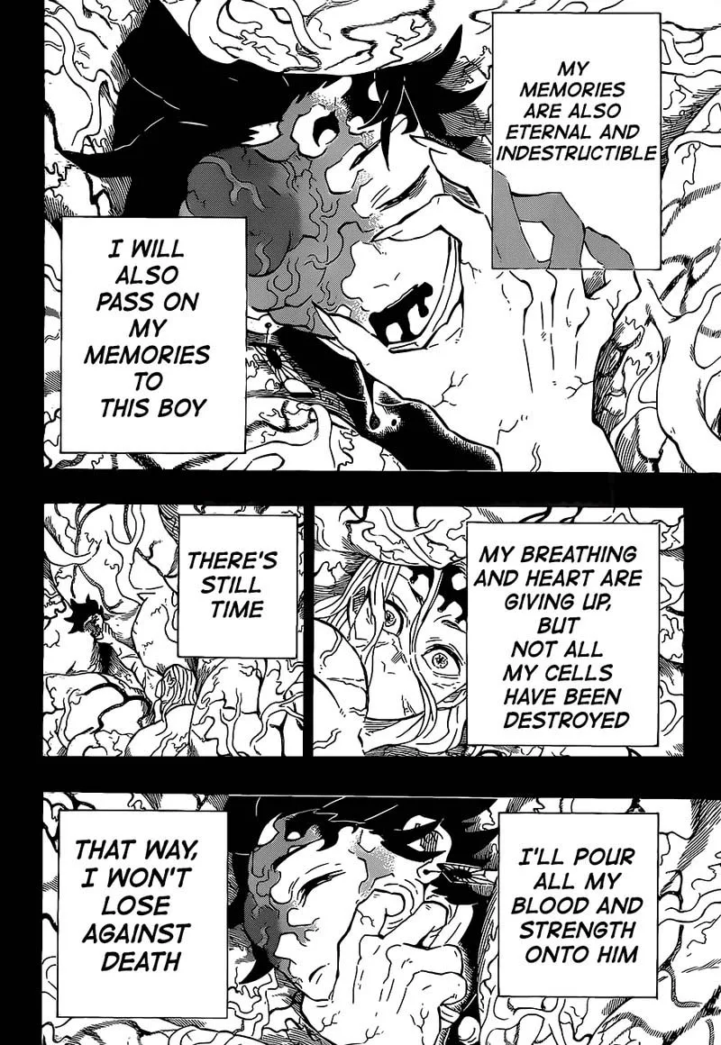 Kimetsu no Yaiba Chapter 201 page 4