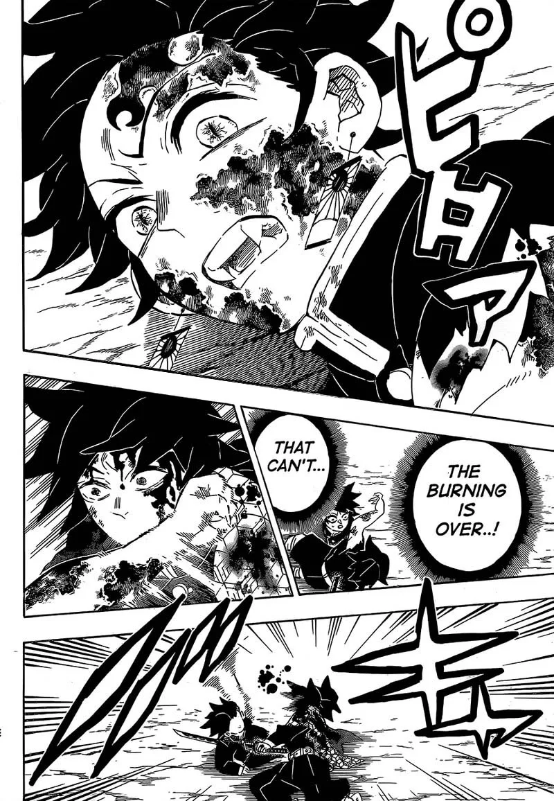 Kimetsu no Yaiba Chapter 201 page 14