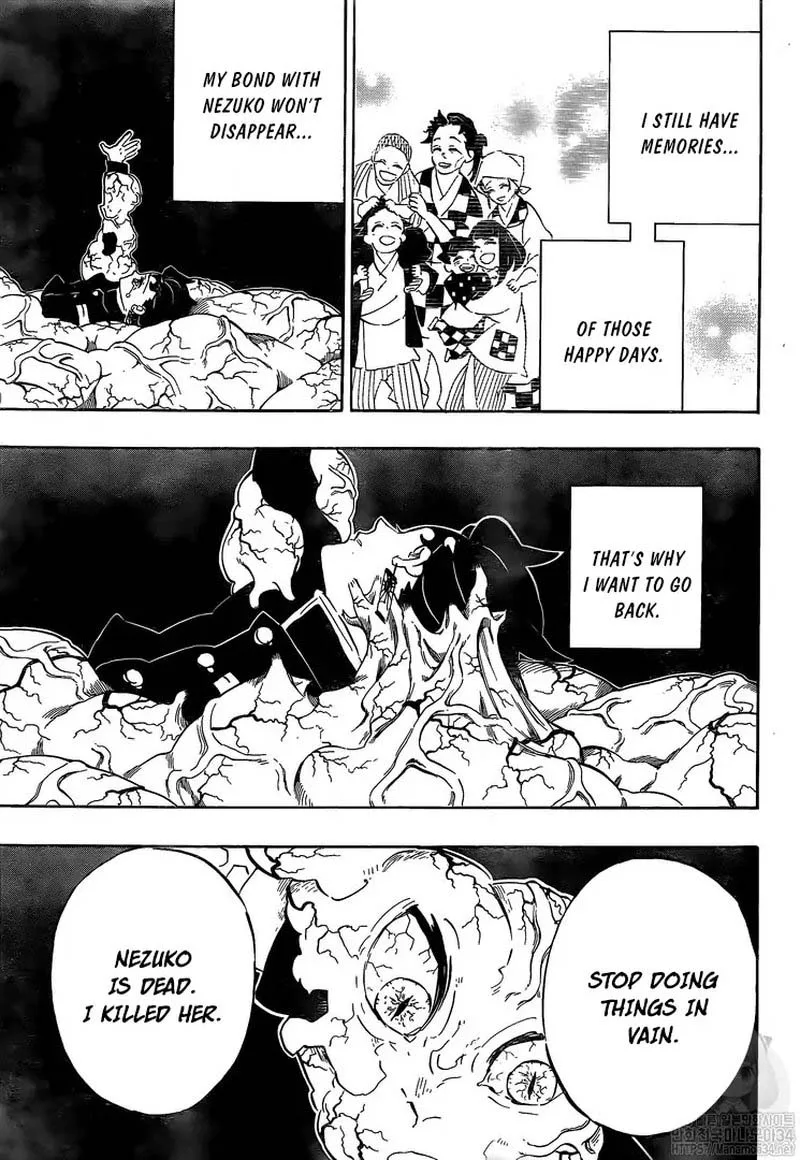 Kimetsu no Yaiba Chapter 203 page 3