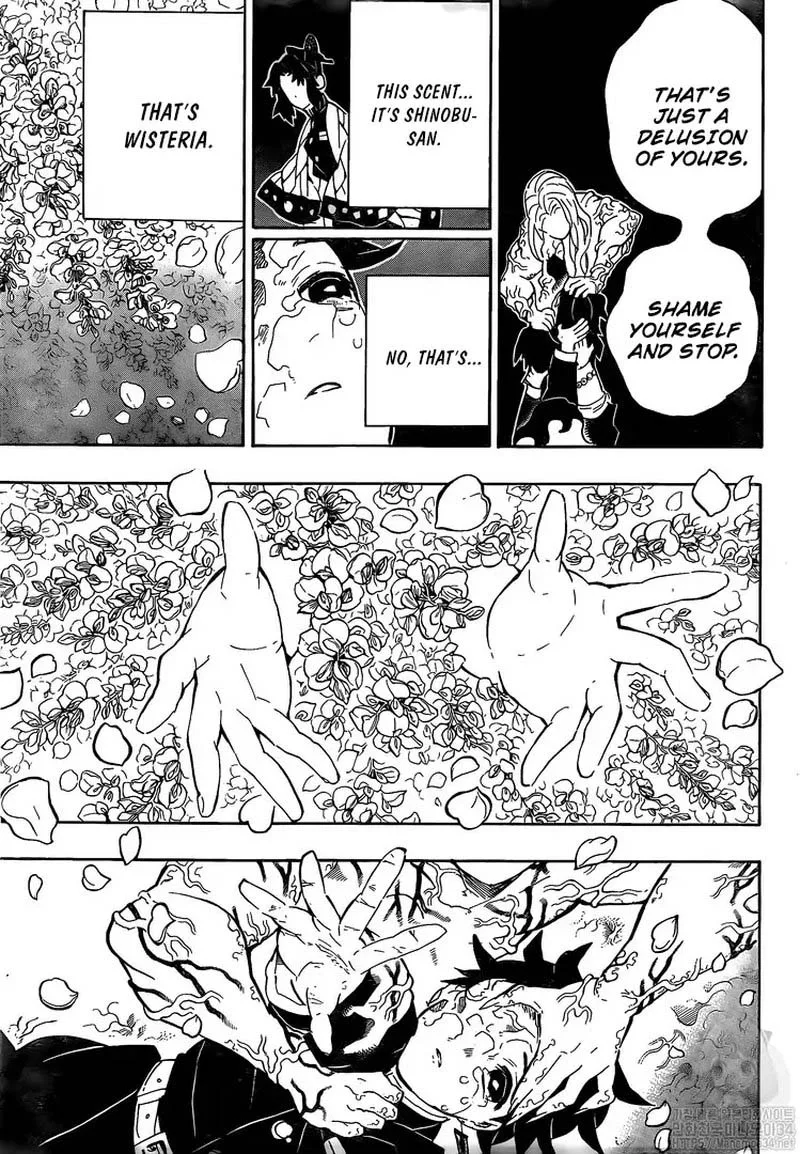 Kimetsu no Yaiba Chapter 203 page 8