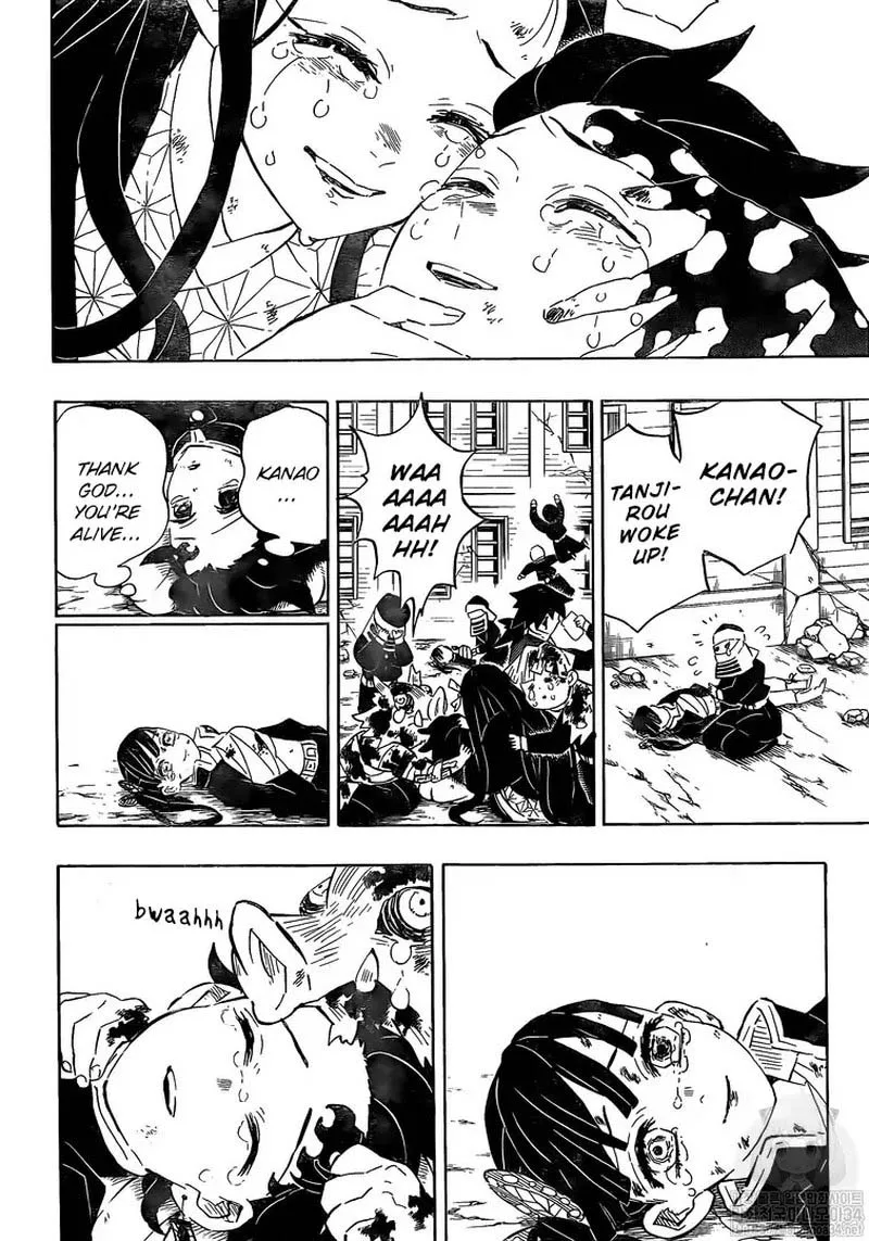 Kimetsu no Yaiba Chapter 203 page 17