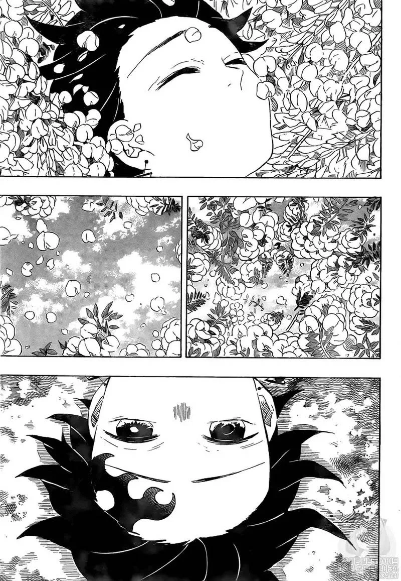 Kimetsu no Yaiba Chapter 203 page 14