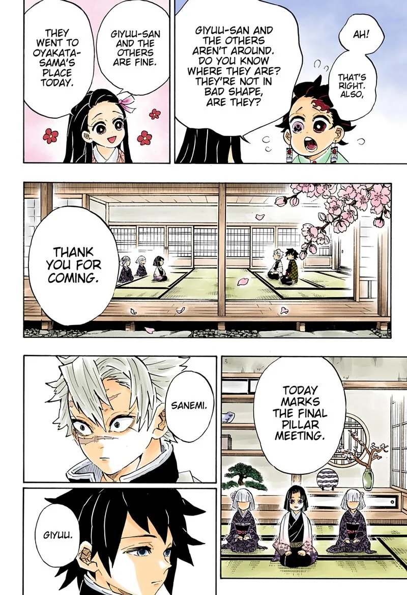 Kimetsu no Yaiba Chapter 204 page 8