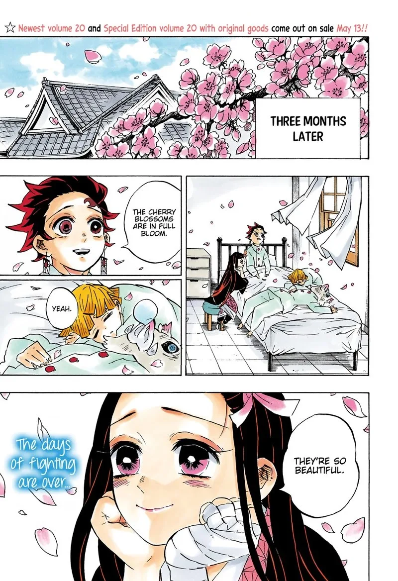 Kimetsu no Yaiba Chapter 204 page 1