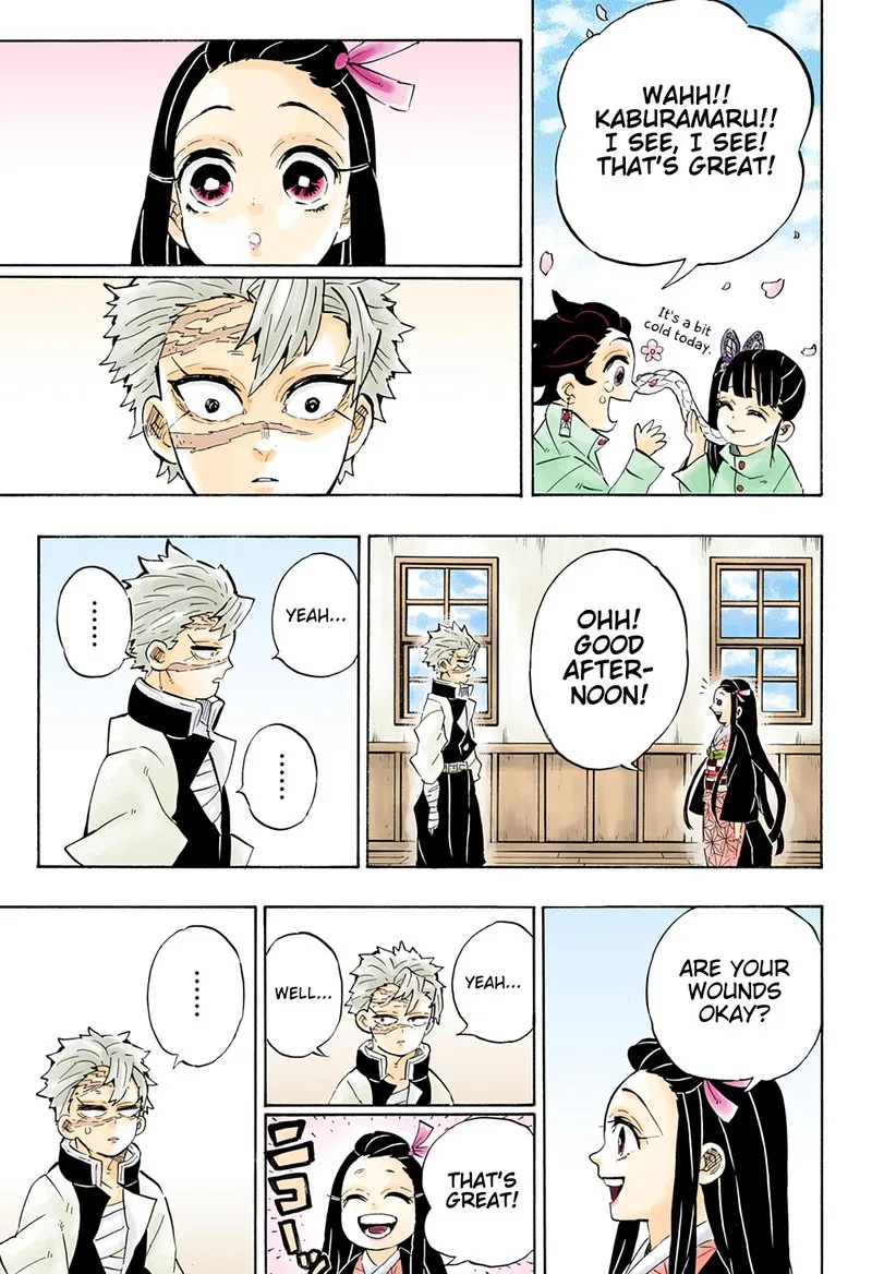Kimetsu no Yaiba Chapter 204 page 19