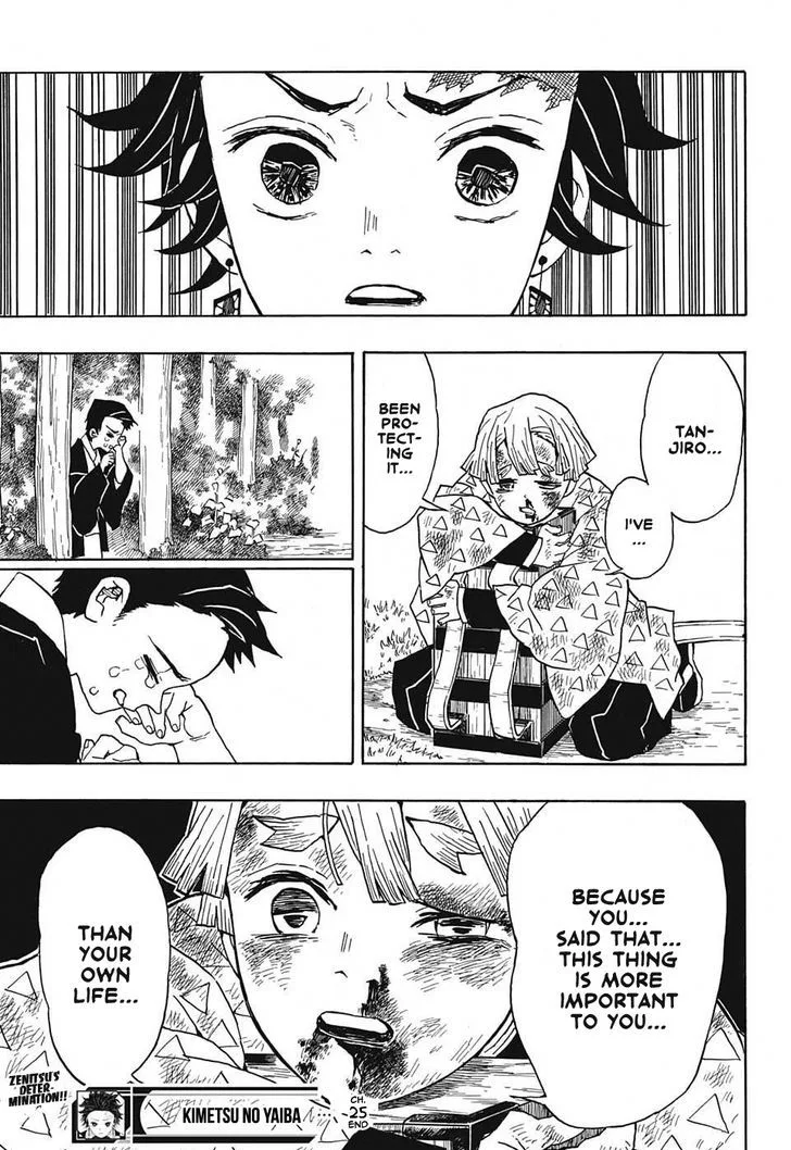 Kimetsu no Yaiba Chapter 25 page 19