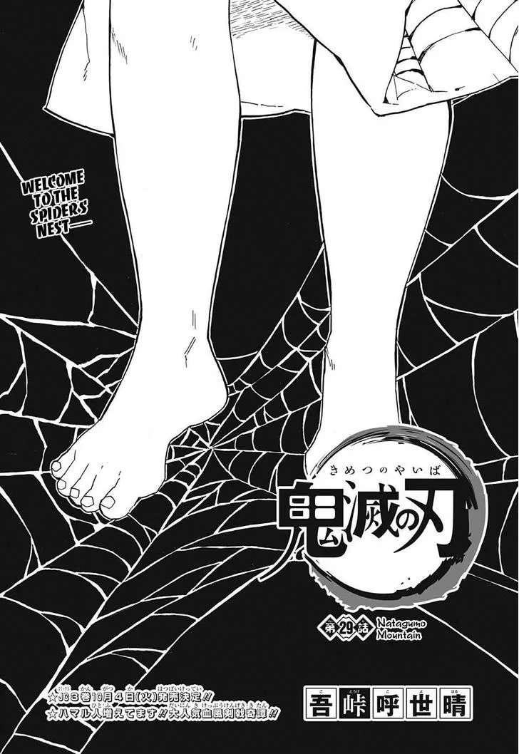 Kimetsu no Yaiba Chapter 29 page 1