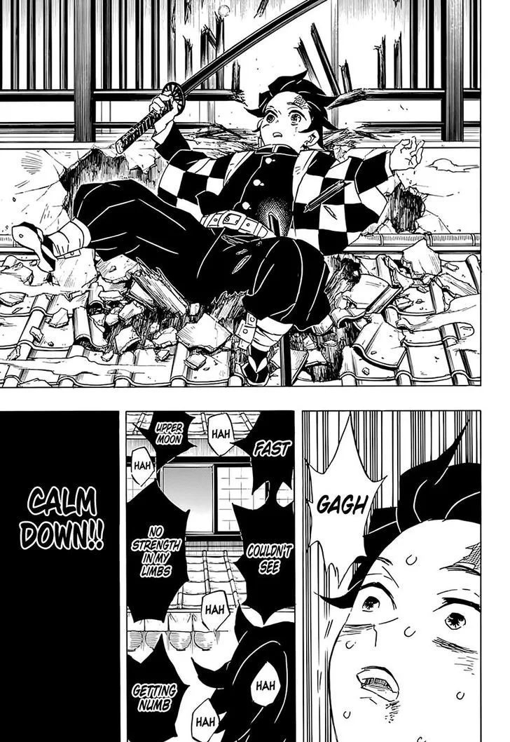 Kimetsu no Yaiba Chapter 76 page 13