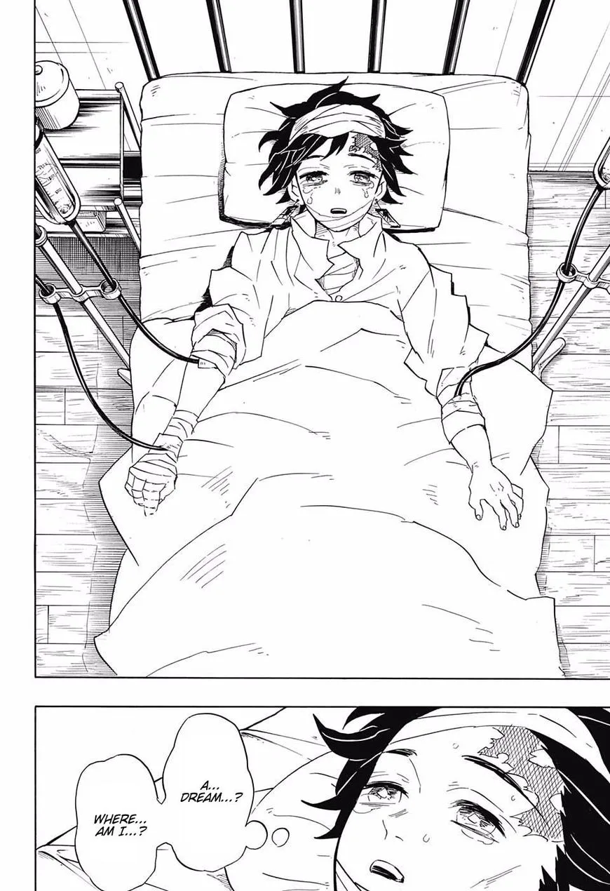 Kimetsu no Yaiba Chapter 99 page 18
