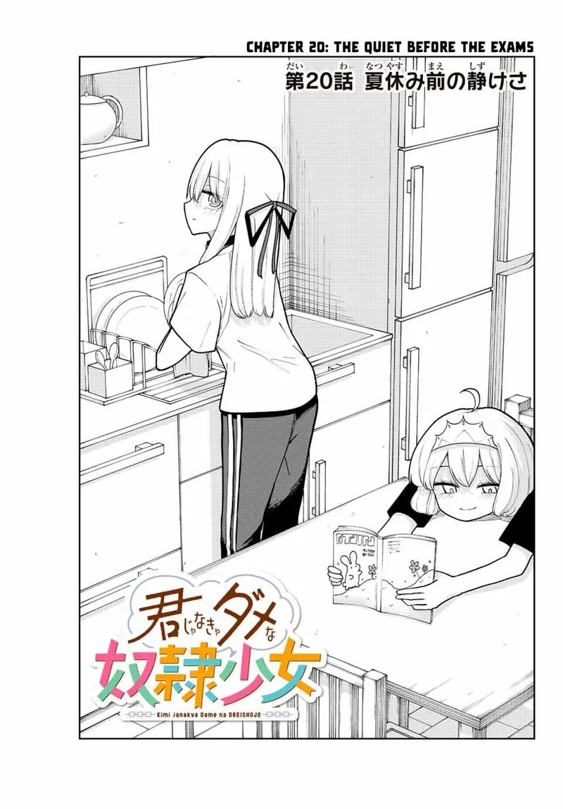 Kimi janakya Dame na Dorei Shoujo Chapter 20 page 3