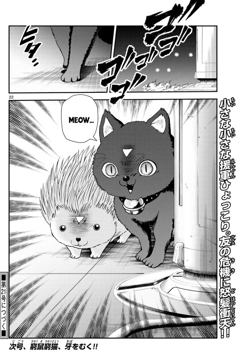 Kimi wa 008 Chapter 247 page 22