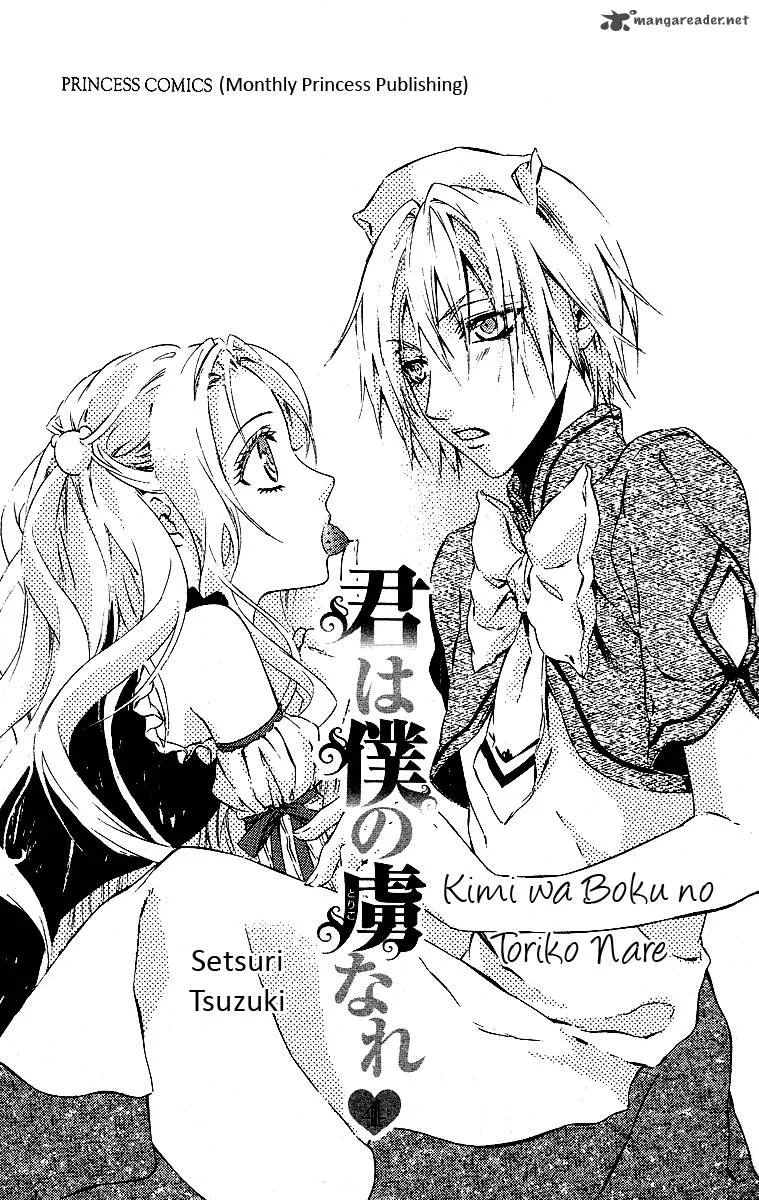 Kimi wa Boku no Toriko nare Chapter 15 page 4
