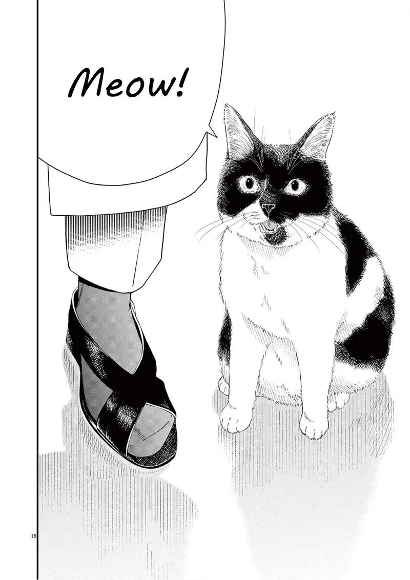 Kimi wa Houkago Insomnia Chapter 104 page 18