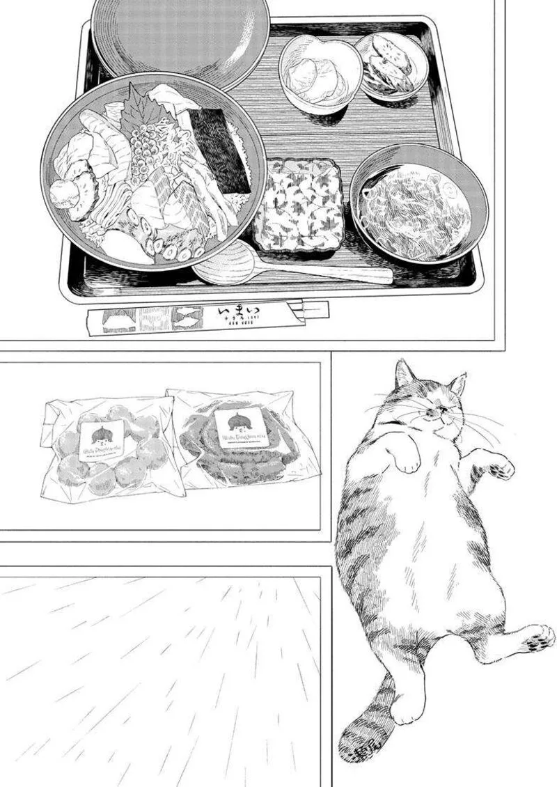 Kimi wa Houkago Insomnia Chapter 125.5 page 6