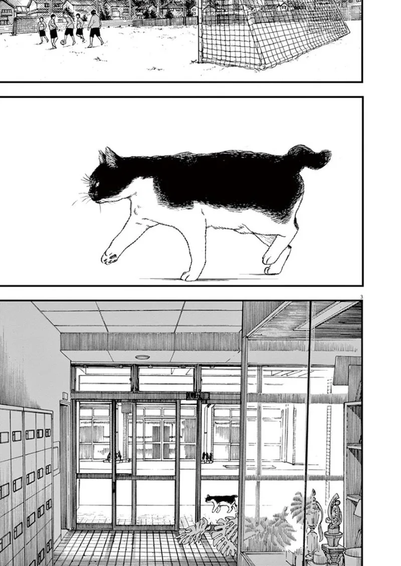 Kimi wa Houkago Insomnia Chapter 2 page 3