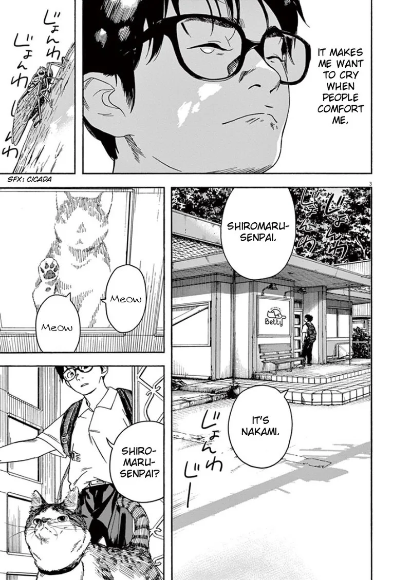 Kimi wa Houkago Insomnia Chapter 31 page 3