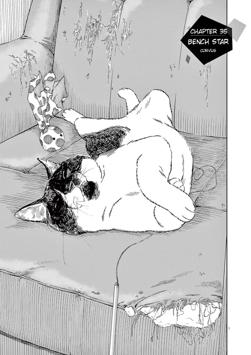 Kimi wa Houkago Insomnia Chapter 35 page 1