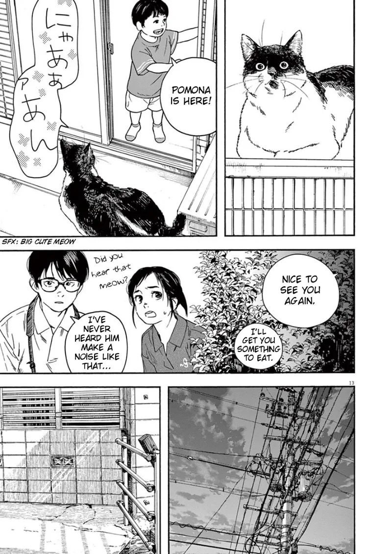Kimi wa Houkago Insomnia Chapter 39 page 13