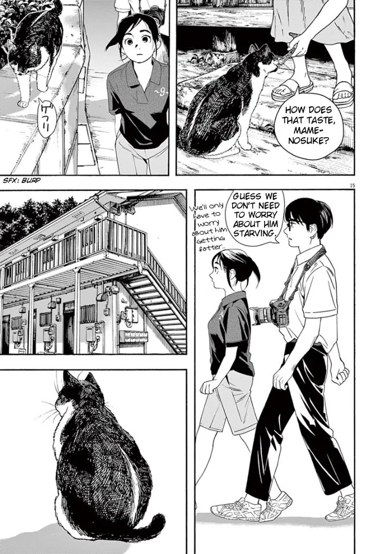 Kimi wa Houkago Insomnia Chapter 39 page 15
