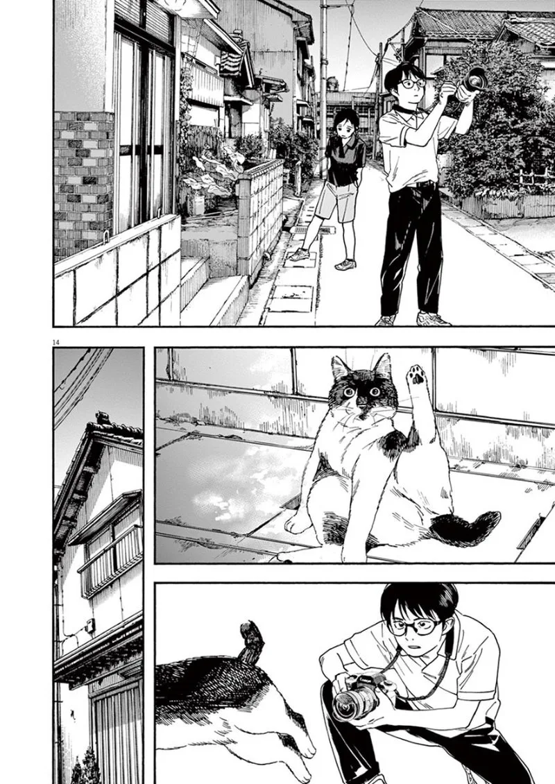 Kimi wa Houkago Insomnia Chapter 39 page 14