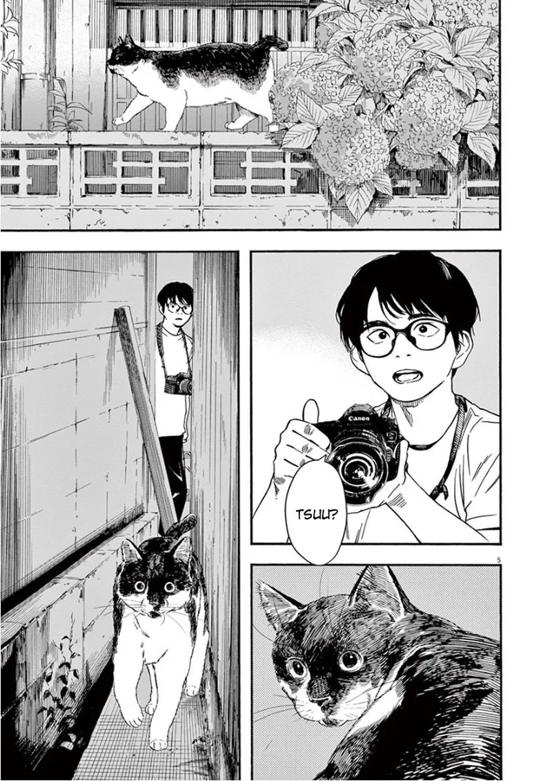 Kimi wa Houkago Insomnia Chapter 39 page 5