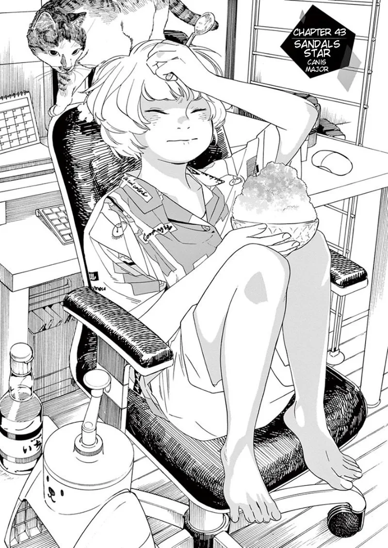 Kimi wa Houkago Insomnia Chapter 43 page 1