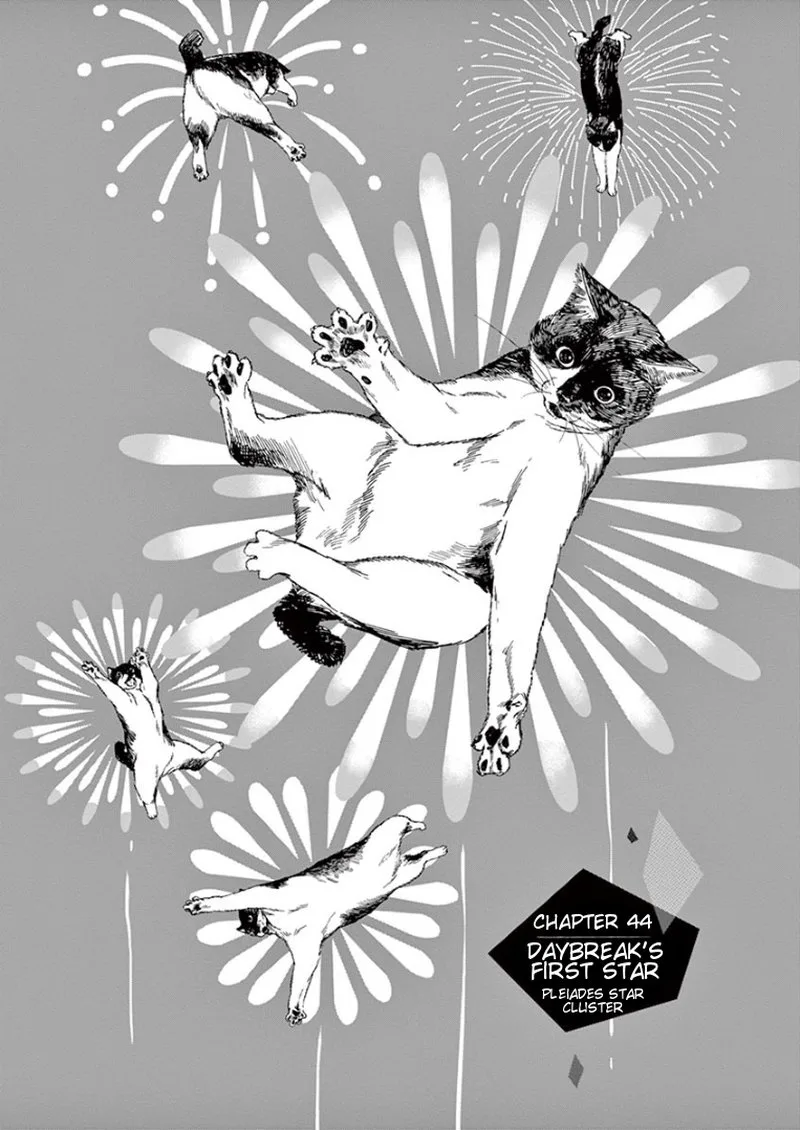 Kimi wa Houkago Insomnia Chapter 44 page 1