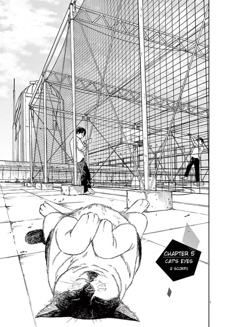 Kimi wa Houkago Insomnia Chapter 5 page 1