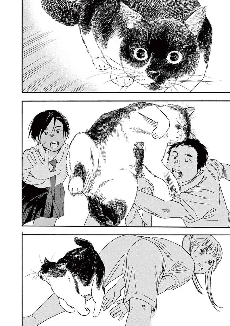 Kimi wa Houkago Insomnia Chapter 62 page 8