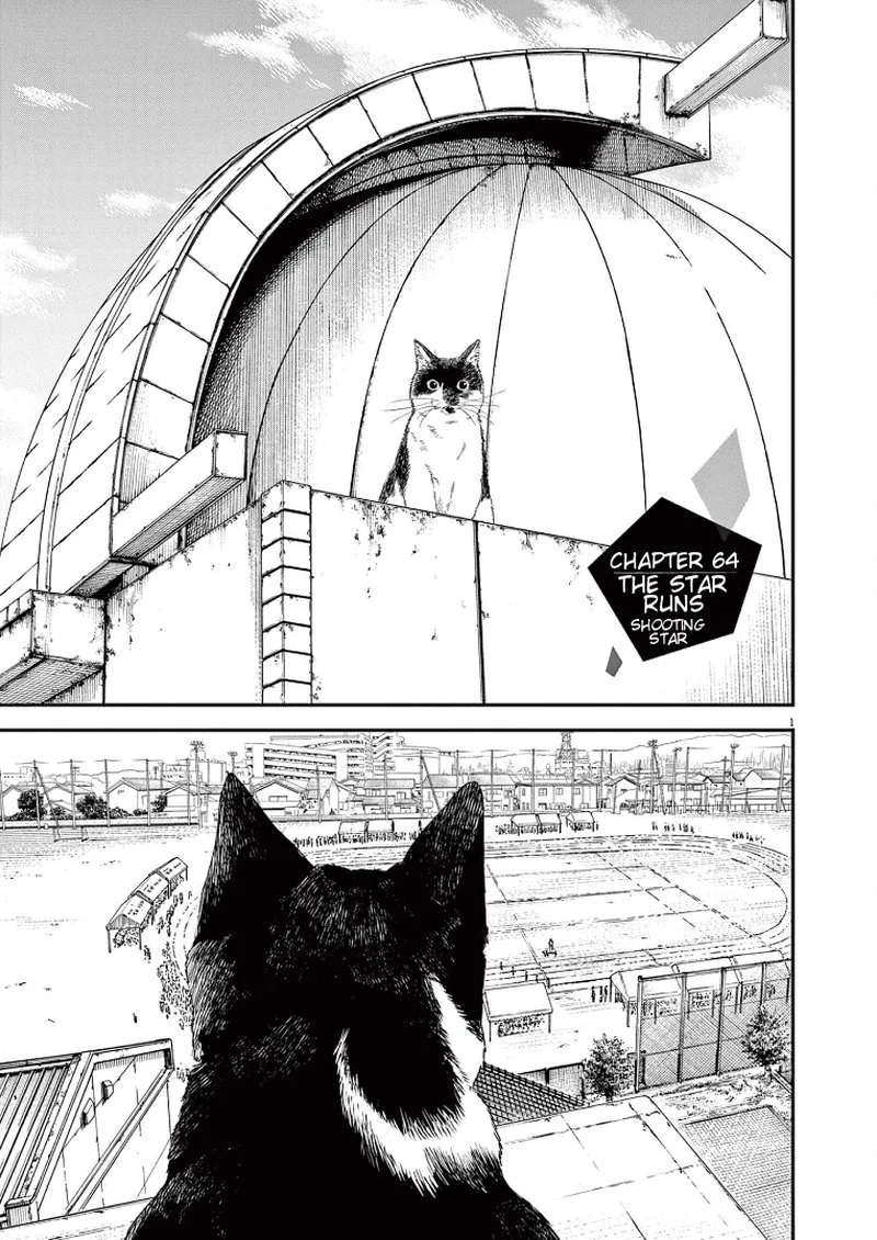 Kimi wa Houkago Insomnia Chapter 64 page 1