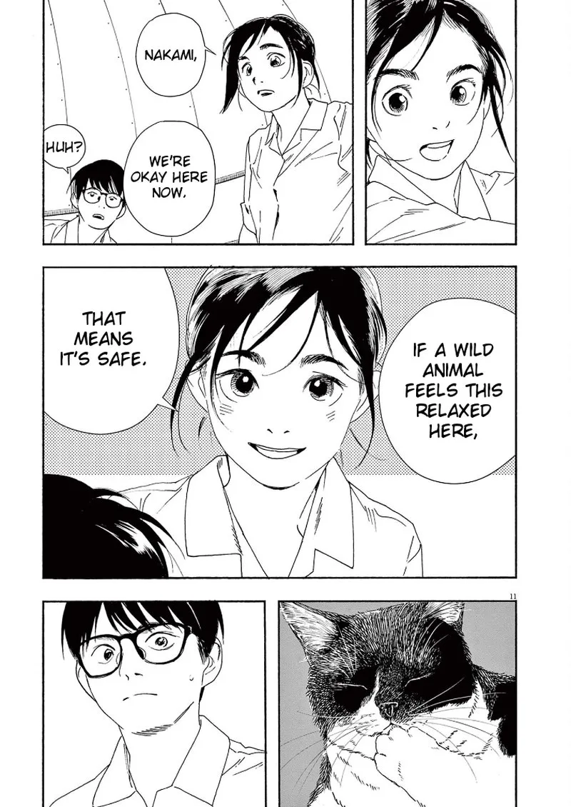 Kimi wa Houkago Insomnia Chapter 72 page 11