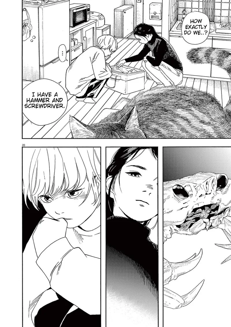 Kimi wa Houkago Insomnia Chapter 82 page 19