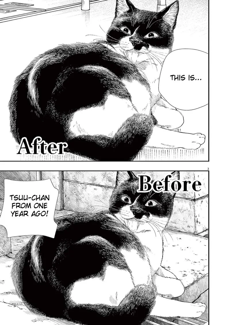Kimi wa Houkago Insomnia Chapter 92 page 3