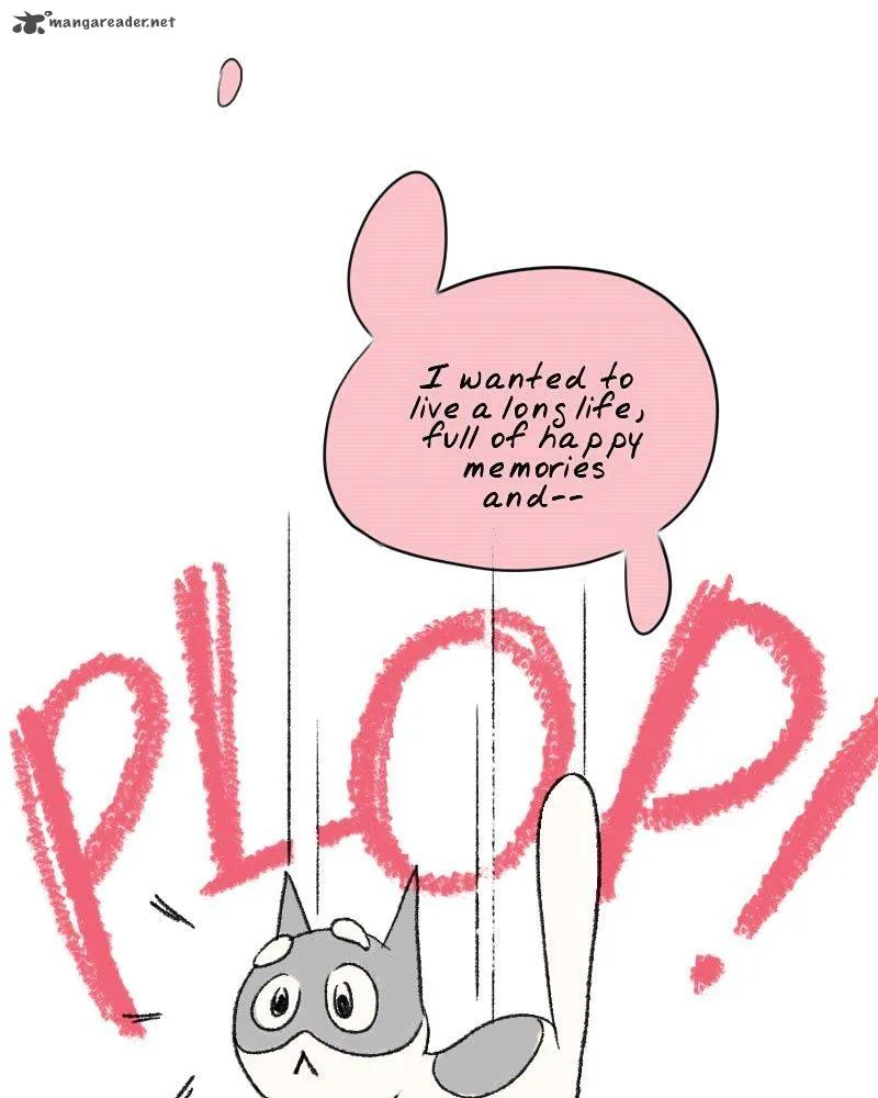 Kind of Confidential Chapter 36 page 5