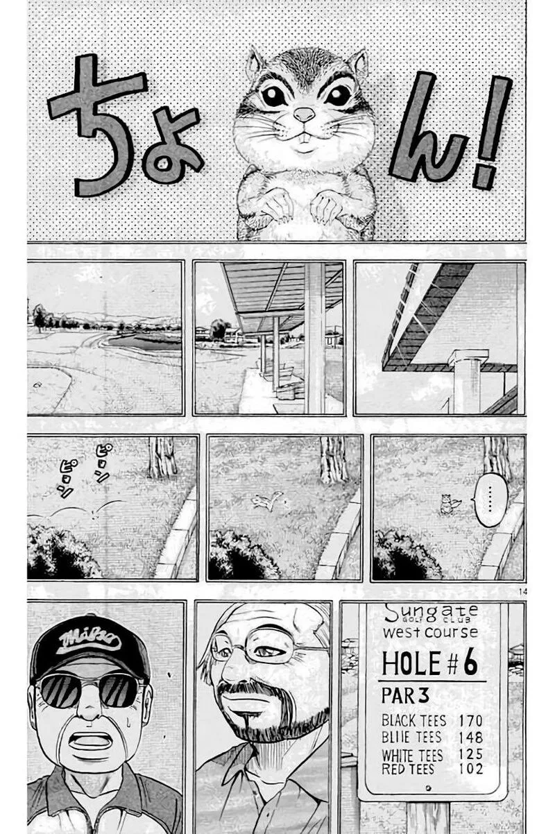 King Golf Chapter 205 page 15